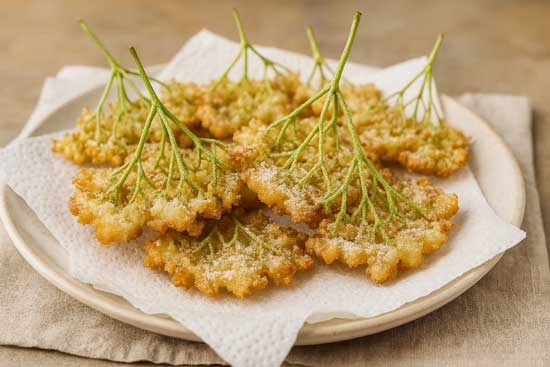 Hollerkücherl Hollerkücherl